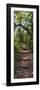 Awesome South Africa Collection Panoramic - African Forest-Philippe Hugonnard-Framed Photographic Print