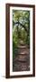 Awesome South Africa Collection Panoramic - African Forest-Philippe Hugonnard-Framed Photographic Print