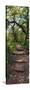 Awesome South Africa Collection Panoramic - African Forest-Philippe Hugonnard-Stretched Canvas