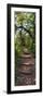 Awesome South Africa Collection Panoramic - African Forest-Philippe Hugonnard-Framed Photographic Print