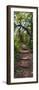 Awesome South Africa Collection Panoramic - African Forest-Philippe Hugonnard-Framed Photographic Print