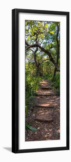 Awesome South Africa Collection Panoramic - African Forest-Philippe Hugonnard-Framed Photographic Print