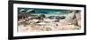 Awesome South Africa Collection Panoramic - African Penguin Colony-Philippe Hugonnard-Framed Photographic Print