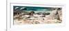 Awesome South Africa Collection Panoramic - African Penguin Colony-Philippe Hugonnard-Framed Photographic Print