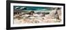 Awesome South Africa Collection Panoramic - African Penguin Colony-Philippe Hugonnard-Framed Photographic Print