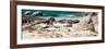 Awesome South Africa Collection Panoramic - African Penguin Colony-Philippe Hugonnard-Framed Photographic Print