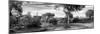 Awesome South Africa Collection Panoramic - African Savannah Landscape B&W-Philippe Hugonnard-Mounted Photographic Print