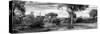 Awesome South Africa Collection Panoramic - African Savannah Landscape B&W-Philippe Hugonnard-Stretched Canvas