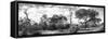 Awesome South Africa Collection Panoramic - African Savannah Landscape II B&W-Philippe Hugonnard-Framed Stretched Canvas