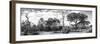 Awesome South Africa Collection Panoramic - African Savannah Landscape II B&W-Philippe Hugonnard-Framed Photographic Print