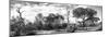 Awesome South Africa Collection Panoramic - African Savannah Landscape II B&W-Philippe Hugonnard-Mounted Photographic Print