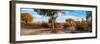 Awesome South Africa Collection Panoramic - African Savannah Landscape II-Philippe Hugonnard-Framed Photographic Print