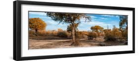 Awesome South Africa Collection Panoramic - African Savannah Landscape II-Philippe Hugonnard-Framed Photographic Print