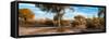 Awesome South Africa Collection Panoramic - African Savannah Landscape II-Philippe Hugonnard-Framed Stretched Canvas