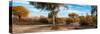 Awesome South Africa Collection Panoramic - African Savannah Landscape II-Philippe Hugonnard-Stretched Canvas