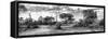 Awesome South Africa Collection Panoramic - African Savannah Landscape III B&W-Philippe Hugonnard-Framed Stretched Canvas