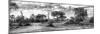 Awesome South Africa Collection Panoramic - African Savannah Landscape III B&W-Philippe Hugonnard-Mounted Photographic Print