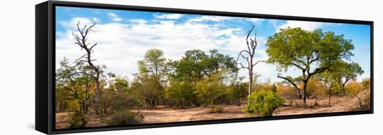 Awesome South Africa Collection Panoramic - African Savannah Landscape III-Philippe Hugonnard-Framed Stretched Canvas