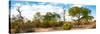 Awesome South Africa Collection Panoramic - African Savannah Landscape III-Philippe Hugonnard-Stretched Canvas