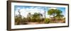 Awesome South Africa Collection Panoramic - African Savannah Landscape III-Philippe Hugonnard-Framed Photographic Print