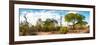 Awesome South Africa Collection Panoramic - African Savannah Landscape III-Philippe Hugonnard-Framed Photographic Print