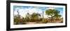 Awesome South Africa Collection Panoramic - African Savannah Landscape III-Philippe Hugonnard-Framed Photographic Print