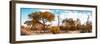 Awesome South Africa Collection Panoramic - African Savannah Landscape IV-Philippe Hugonnard-Framed Photographic Print