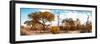 Awesome South Africa Collection Panoramic - African Savannah Landscape IV-Philippe Hugonnard-Framed Photographic Print