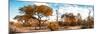 Awesome South Africa Collection Panoramic - African Savannah Landscape IV-Philippe Hugonnard-Mounted Photographic Print