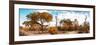 Awesome South Africa Collection Panoramic - African Savannah Landscape IV-Philippe Hugonnard-Framed Photographic Print