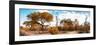 Awesome South Africa Collection Panoramic - African Savannah Landscape IV-Philippe Hugonnard-Framed Photographic Print