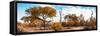 Awesome South Africa Collection Panoramic - African Savannah Landscape IV-Philippe Hugonnard-Framed Stretched Canvas