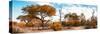 Awesome South Africa Collection Panoramic - African Savannah Landscape IV-Philippe Hugonnard-Stretched Canvas