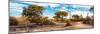 Awesome South Africa Collection Panoramic - African Savannah Landscape VI-Philippe Hugonnard-Mounted Photographic Print