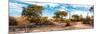 Awesome South Africa Collection Panoramic - African Savannah Landscape VI-Philippe Hugonnard-Mounted Photographic Print