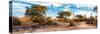 Awesome South Africa Collection Panoramic - African Savannah Landscape VI-Philippe Hugonnard-Stretched Canvas