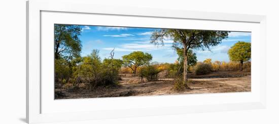 Awesome South Africa Collection Panoramic - African Savannah Landscape-Philippe Hugonnard-Framed Photographic Print