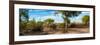 Awesome South Africa Collection Panoramic - African Savannah Landscape-Philippe Hugonnard-Framed Photographic Print