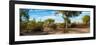 Awesome South Africa Collection Panoramic - African Savannah Landscape-Philippe Hugonnard-Framed Photographic Print