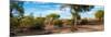 Awesome South Africa Collection Panoramic - African Savannah Landscape-Philippe Hugonnard-Mounted Photographic Print