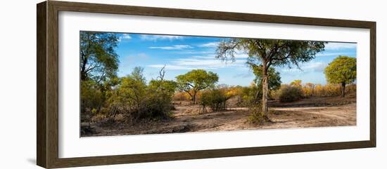 Awesome South Africa Collection Panoramic - African Savannah Landscape-Philippe Hugonnard-Framed Photographic Print