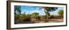 Awesome South Africa Collection Panoramic - African Savannah Landscape-Philippe Hugonnard-Framed Photographic Print