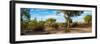 Awesome South Africa Collection Panoramic - African Savannah Landscape-Philippe Hugonnard-Framed Photographic Print