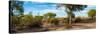 Awesome South Africa Collection Panoramic - African Savannah Landscape-Philippe Hugonnard-Stretched Canvas