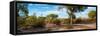 Awesome South Africa Collection Panoramic - African Savannah Landscape-Philippe Hugonnard-Framed Stretched Canvas