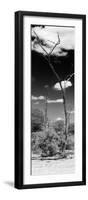 Awesome South Africa Collection Panoramic - African Tree at Savannah B&W-Philippe Hugonnard-Framed Photographic Print