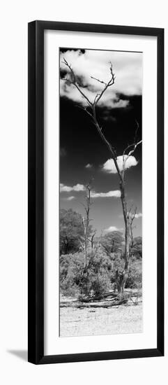 Awesome South Africa Collection Panoramic - African Tree at Savannah B&W-Philippe Hugonnard-Framed Photographic Print