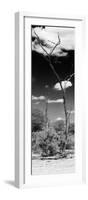 Awesome South Africa Collection Panoramic - African Tree at Savannah B&W-Philippe Hugonnard-Framed Photographic Print