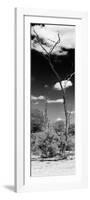 Awesome South Africa Collection Panoramic - African Tree at Savannah B&W-Philippe Hugonnard-Framed Photographic Print