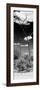 Awesome South Africa Collection Panoramic - African Tree at Savannah B&W-Philippe Hugonnard-Framed Photographic Print